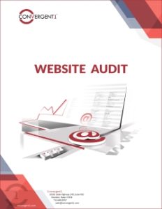 C1 Website Audit cover page
