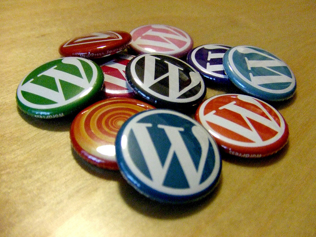 Wordpress logo pins